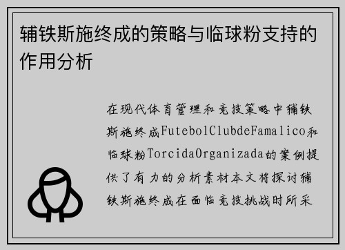 辅铁斯施终成的策略与临球粉支持的作用分析